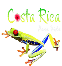 Costa Rica Pura Vida Travel Souvenir Vacation Frog Nature T-Shirt