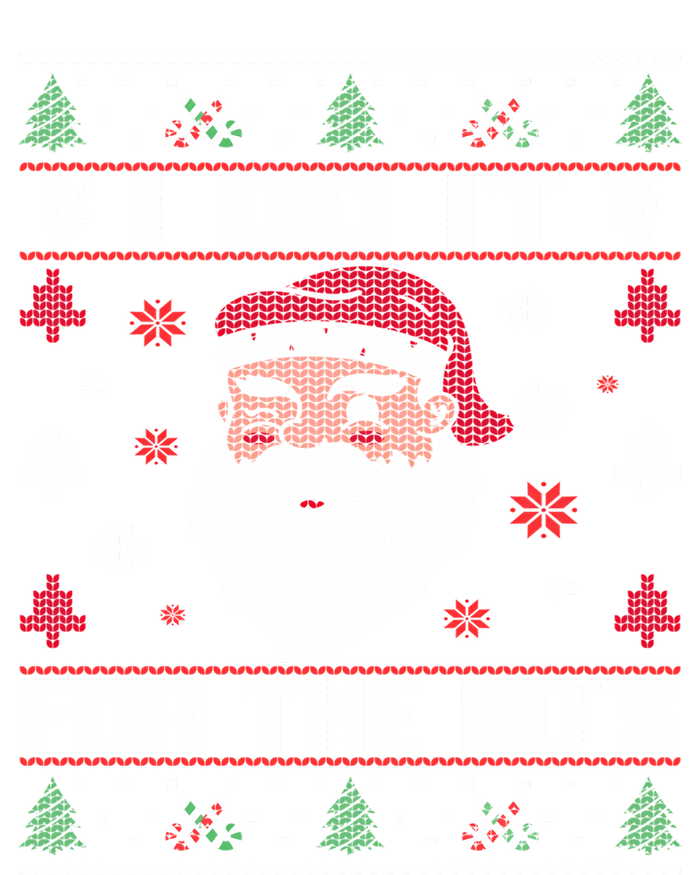 I Do It For The HoS Rude Offensive Christmas Santa Sweater Sweatshirt Cooling Performance Crew T-Shirt