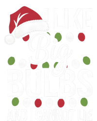 I Like Big Bulbs And I Cannot Lie Funny Christmas Lights Gift Hoodie