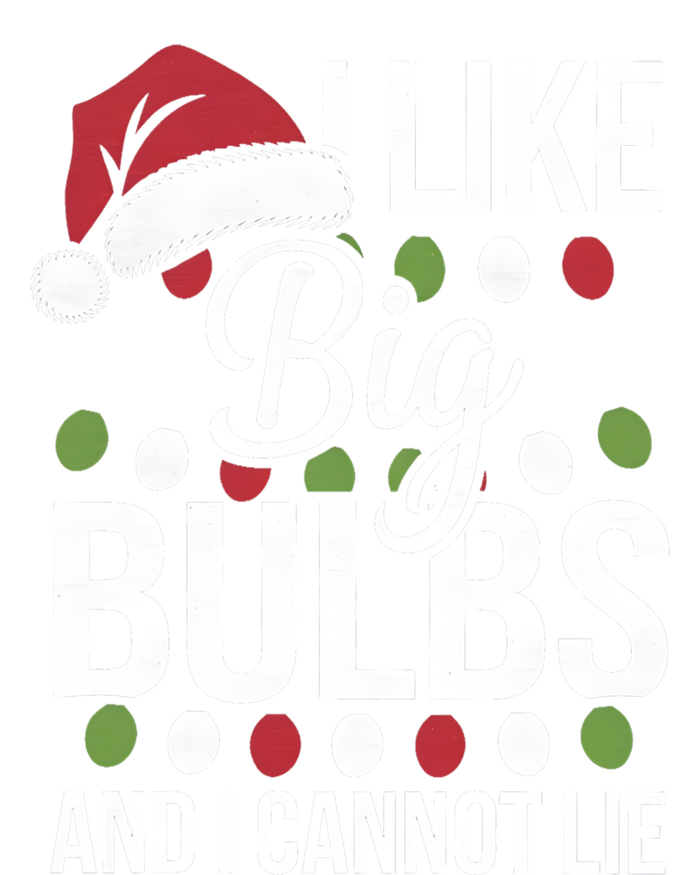 I Like Big Bulbs And I Cannot Lie Funny Christmas Lights Gift Hoodie