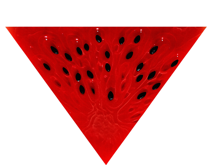 Inverted Red Triangle Watermelon Slice T-Shirt