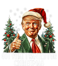 Got What I Wanted For Christmas Trump Xmas Pajamas 2024 T-Shirt