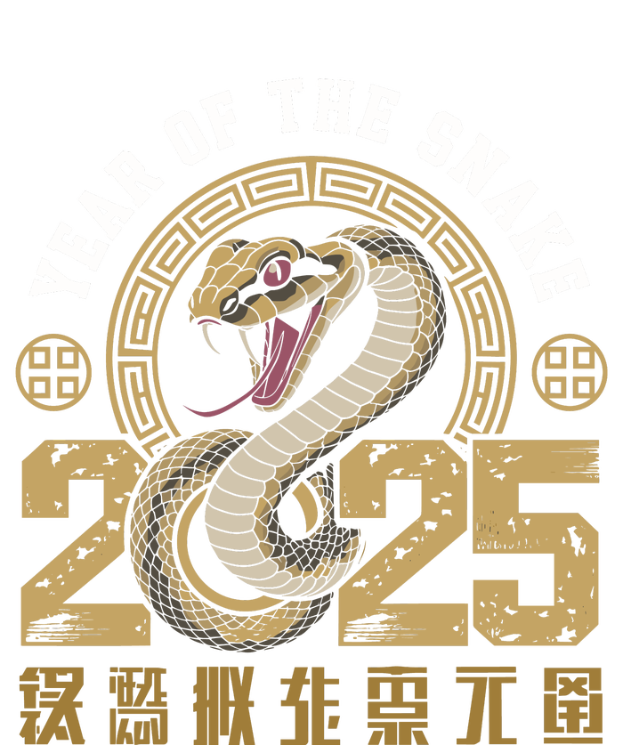 Happy Chinese New Year Year Of The Snake 2025 T-Shirt