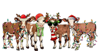 Christmas Cow Western Xmas Lights Holiday Pajamas Cow Lover Toddler T-Shirt