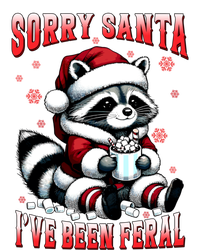 Sorry Santa IVe Been Feral Funny Raccoon Christmas Lights Meaningful Gift Kids Hoodie