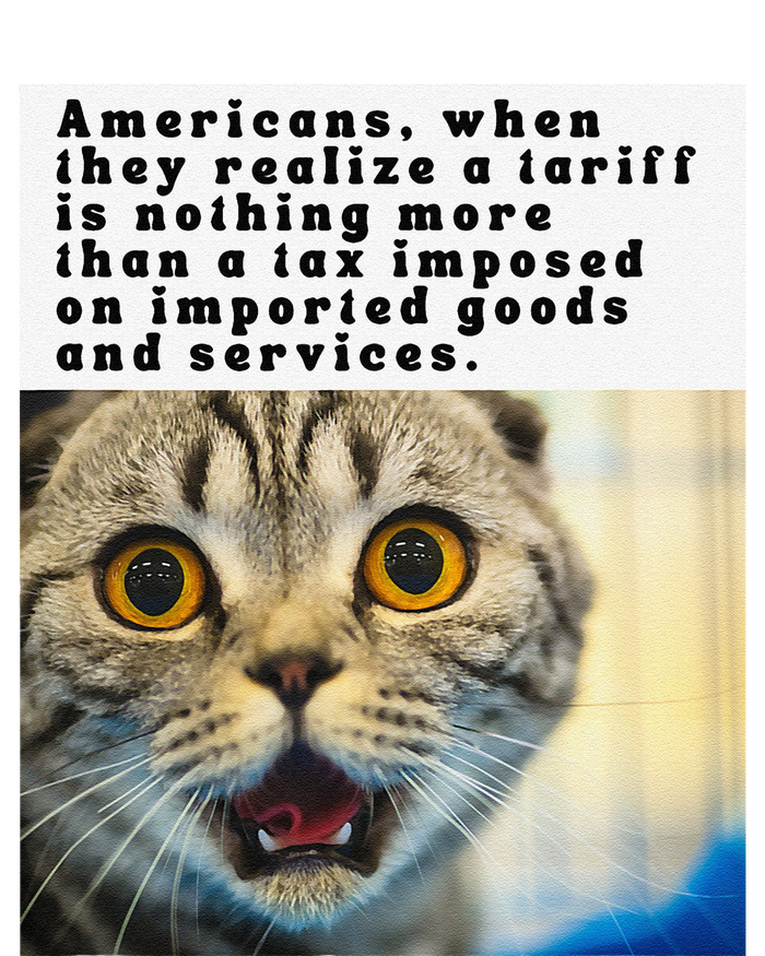 A Tariff Meme With A Funny Image Of A Surprised Cat T-Shirt