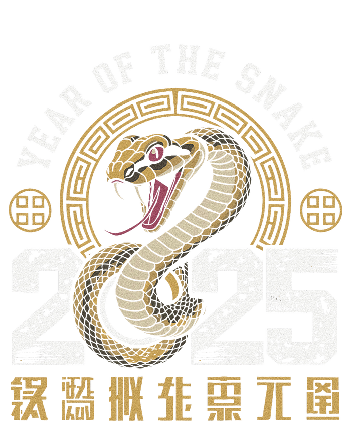 Lunar New Year Chinese New Year Of The Snake 2025 Red Funny Hoodie