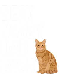 Best Orange Tabby Cat Dad Ever Orange Tabby Cat Owner Gift Insulated Varsity Jacket