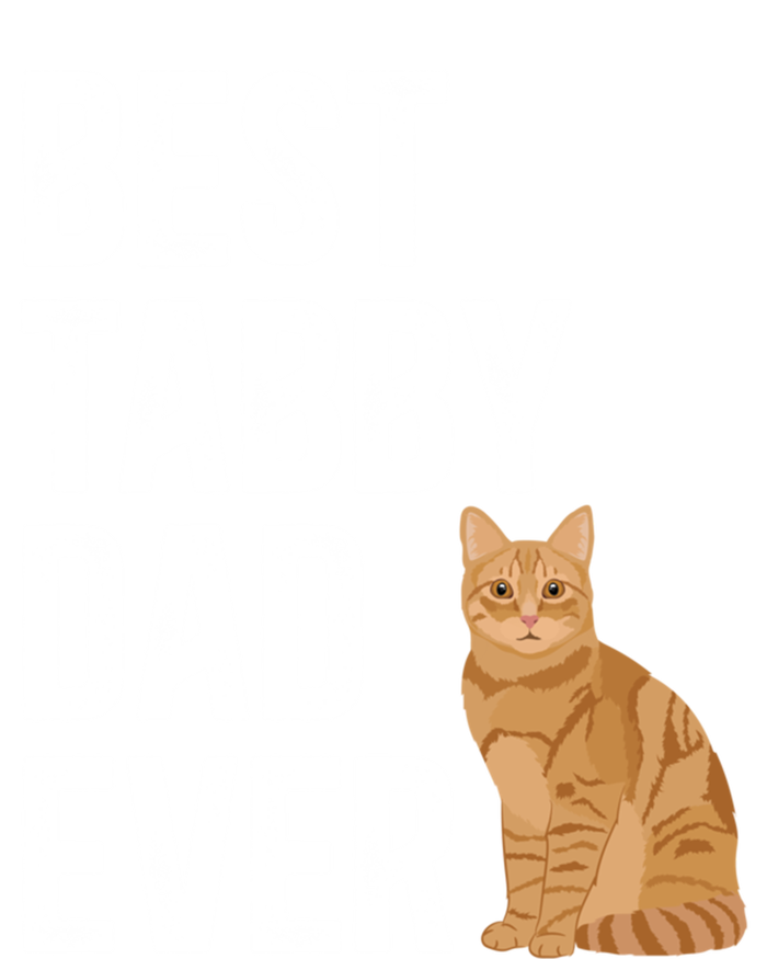 Best Orange Tabby Cat Dad Ever Orange Tabby Cat Owner Gift Insulated Varsity Jacket