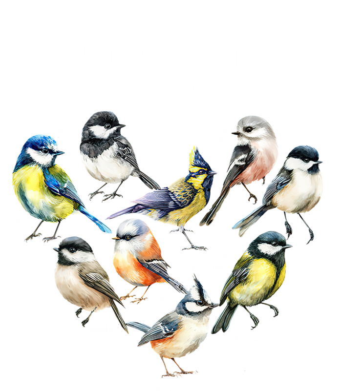 Retro Funny Nice Tits Birds Birdwatcher Bird Watching Humor Gift Sweatshirt