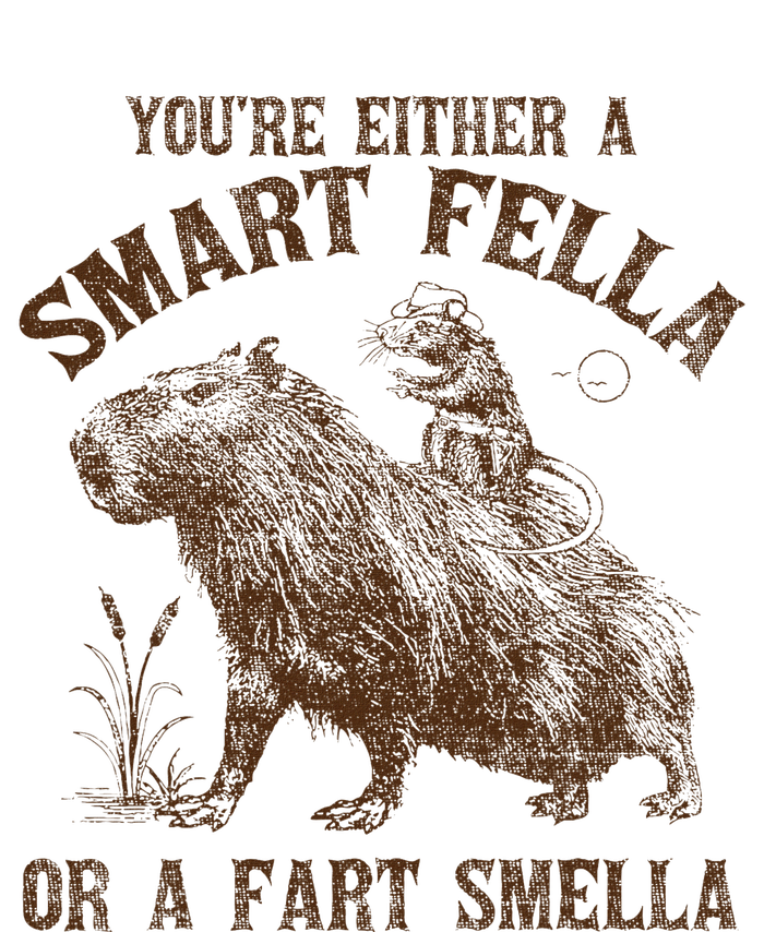 YouRe Either A Smart Fella Or A Fart Smella T-Shirt