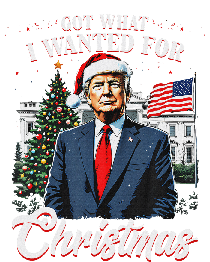 Got What I Wanted For Christmas Trump 2024 T-Shirt