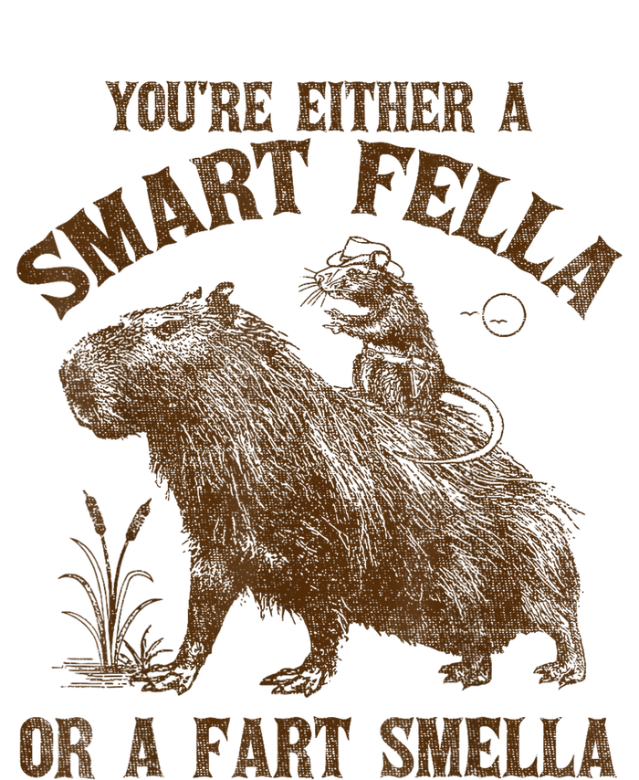 YouRe Either A Smart Fella Or A Fart Smella T-Shirt