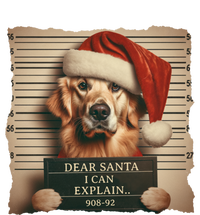 Golden Retriever Dogs Christmas Dear Santa I Can Explain Gift Women's Flannel Pajama Set