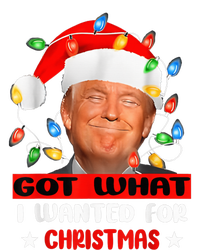 Got What I Wanted For Christmas Trump Xmas Pajamas 2024 T-Shirt