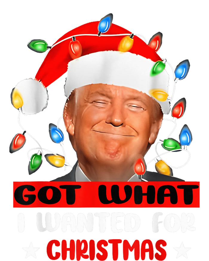 Got What I Wanted For Christmas Trump Xmas Pajamas 2024 T-Shirt