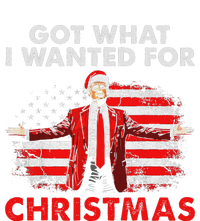 Got What I Wanted For Christmas Trump 2024 Santa Claus Performance Sprint T-Shirt