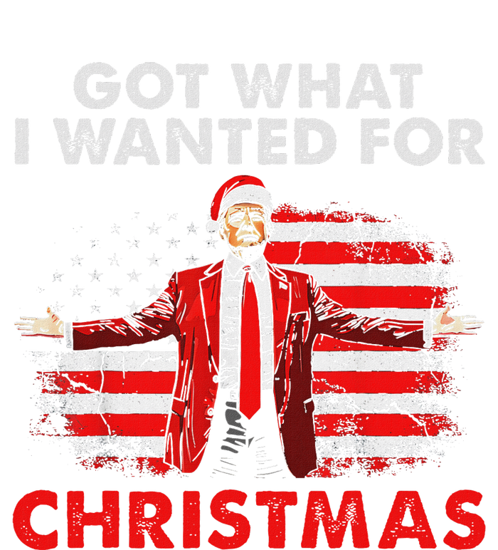 Got What I Wanted For Christmas Trump 2024 Santa Claus Performance Sprint T-Shirt