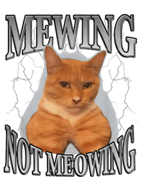 Cat Funny Meme Mewing Not Meowing Ladies Long Sleeve Shirt