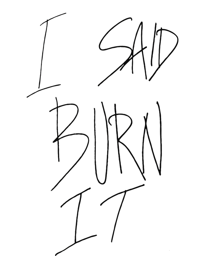 Funny I Said Burn It T-Shirt