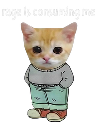 Rage Is Consuming Me Silly Cat Meme Long Sleeve Shirt