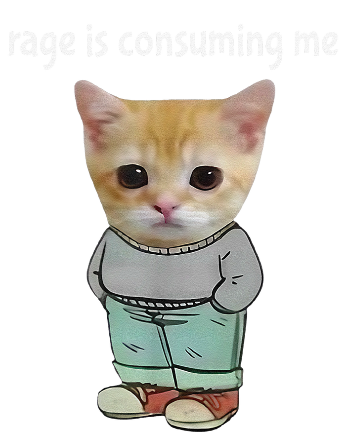 Rage Is Consuming Me Silly Cat Meme Long Sleeve Shirt