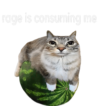 Rage Is Consuming Me Watermelon Cat Silly Cat Meme T-Shirt