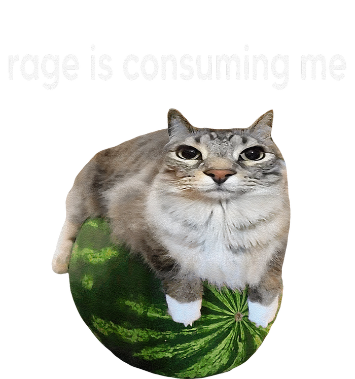 Rage Is Consuming Me Watermelon Cat Silly Cat Meme T-Shirt