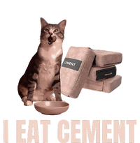 Meme I Eat Cement Cursed Cat Funny Oddly Specific Yupoong Adult 5-Panel Trucker Hat