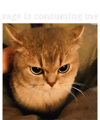 Rage Is Consuming Me Cat Meme T-Shirt