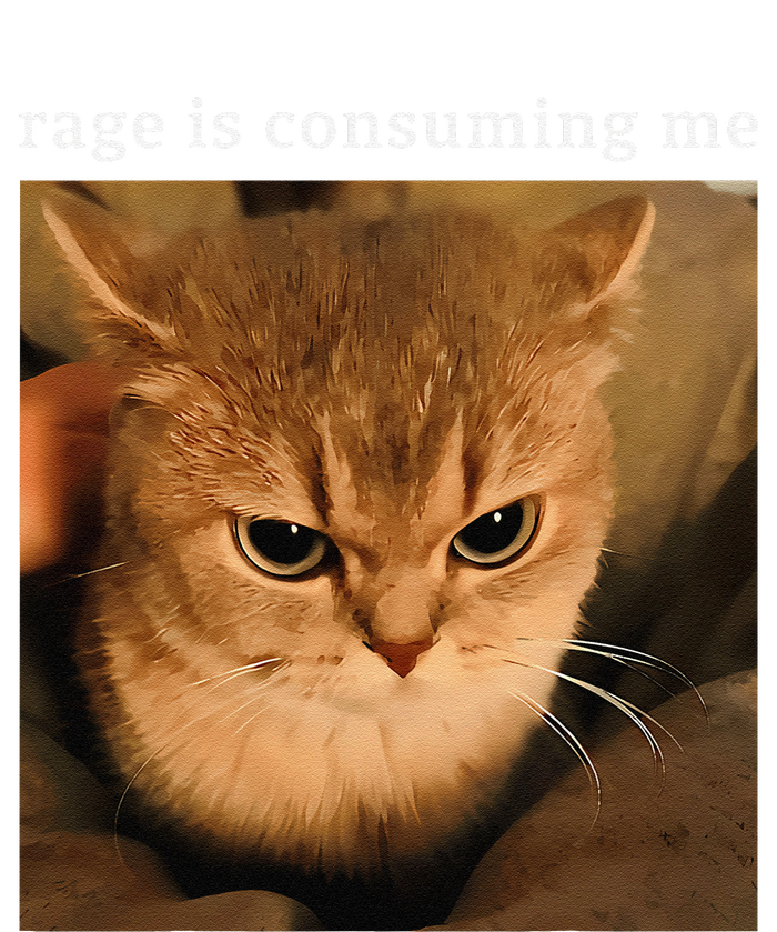 Rage Is Consuming Me Cat Meme T-Shirt