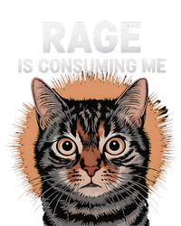 Rage Is Consuming Me Silly Staring Cat Meme Sustainable Beanie