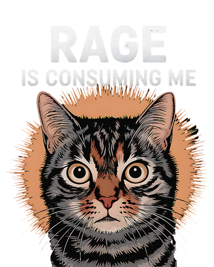 Rage Is Consuming Me Silly Staring Cat Meme Sustainable Beanie