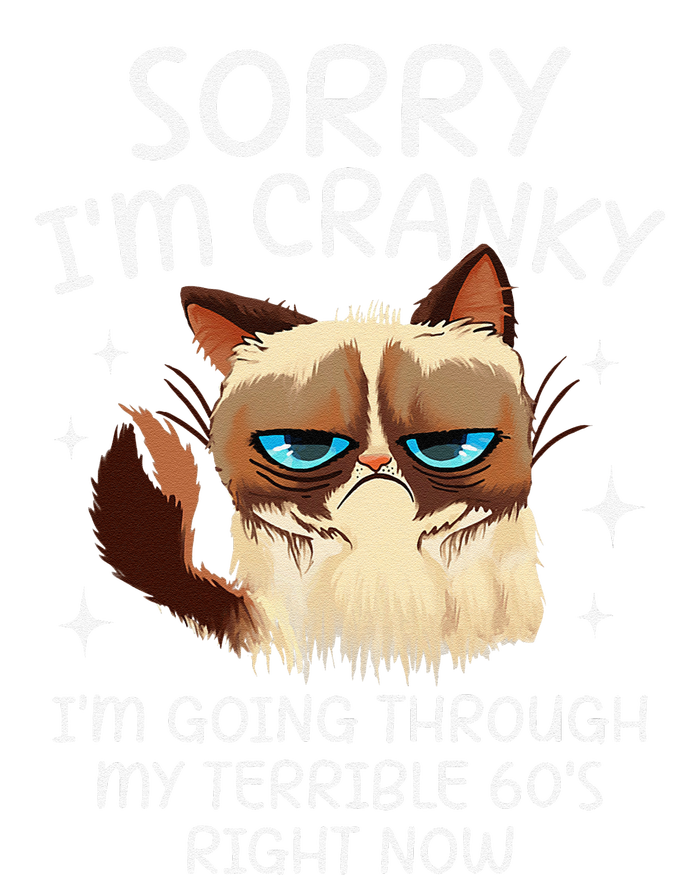 Cat Sorry IM Cranky IM Going Through My Terrible 60s Funny T-Shirt