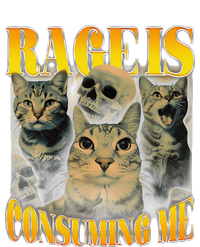 Rage Is Consuming Me Cat Meme T-Shirt