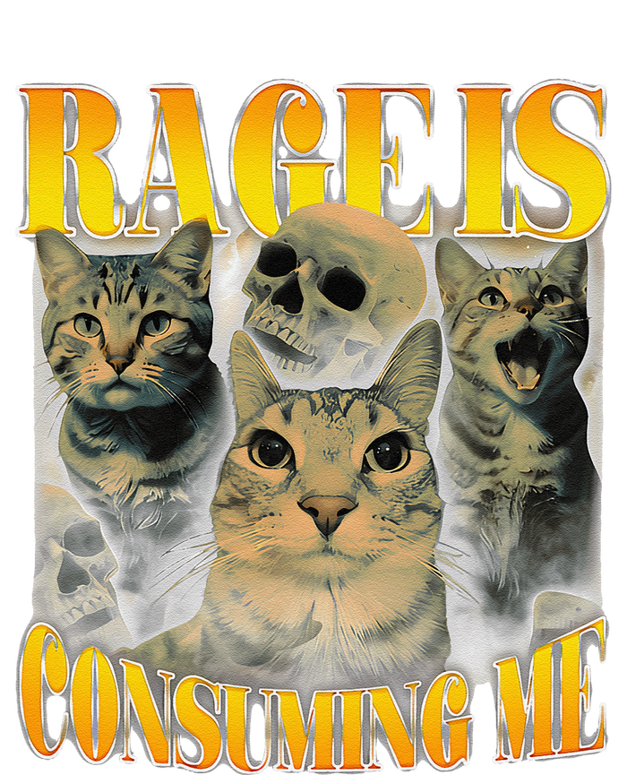 Rage Is Consuming Me Cat Meme T-Shirt