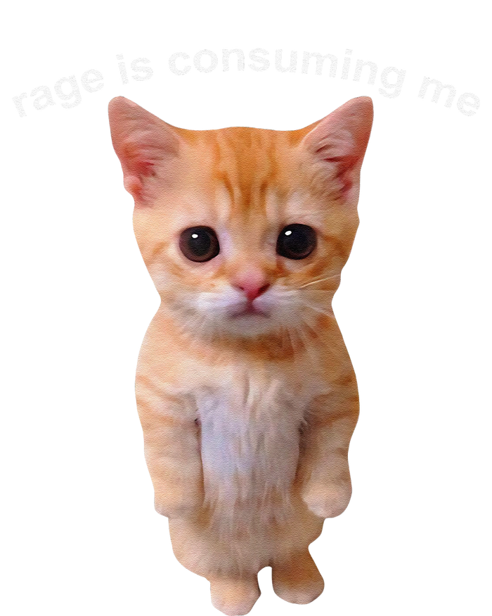 Rage Is Consuming Me Silly Staring Cat Meme T-Shirt