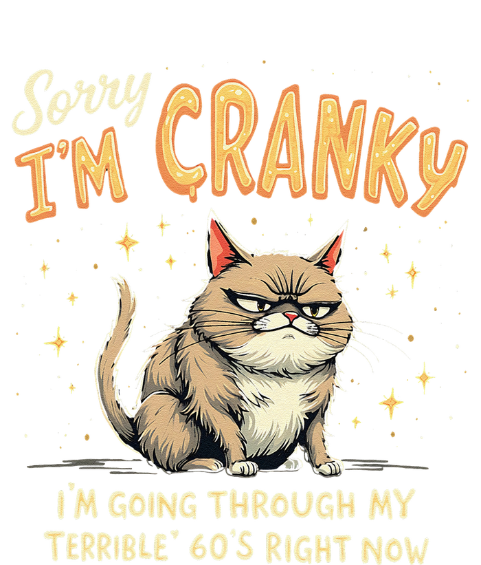 Cat Sorry IM Cranky IM Going Through My Terrible 60S Gift T-Shirt