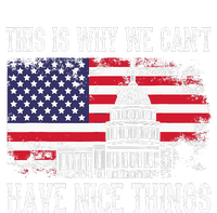 This Is Why We CanT Have Nice Things Anti Government T-Shirt