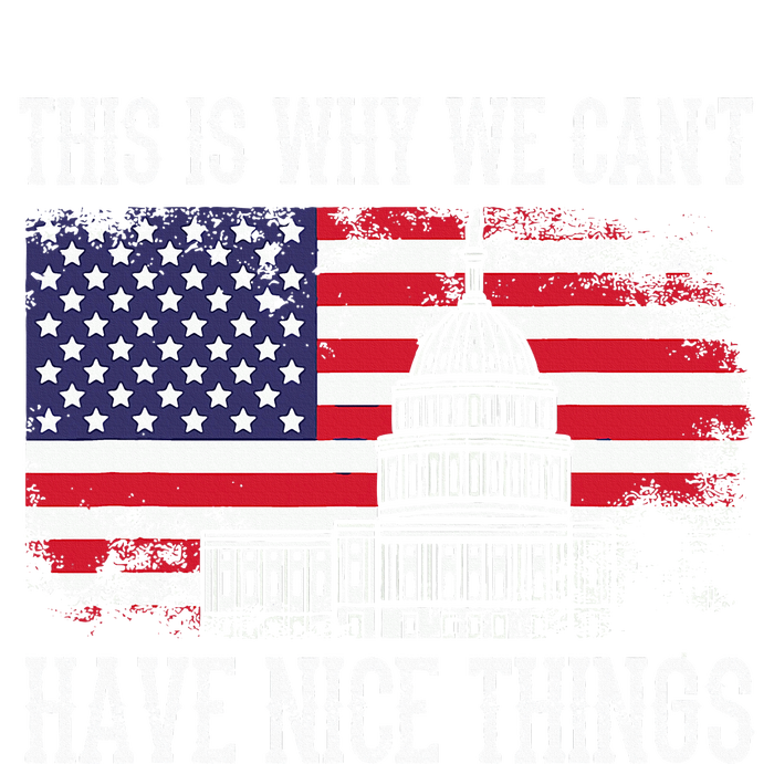 This Is Why We CanT Have Nice Things Anti Government T-Shirt