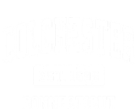 Colchester Connecticut Ct Vintage Sports Established T-Shirt