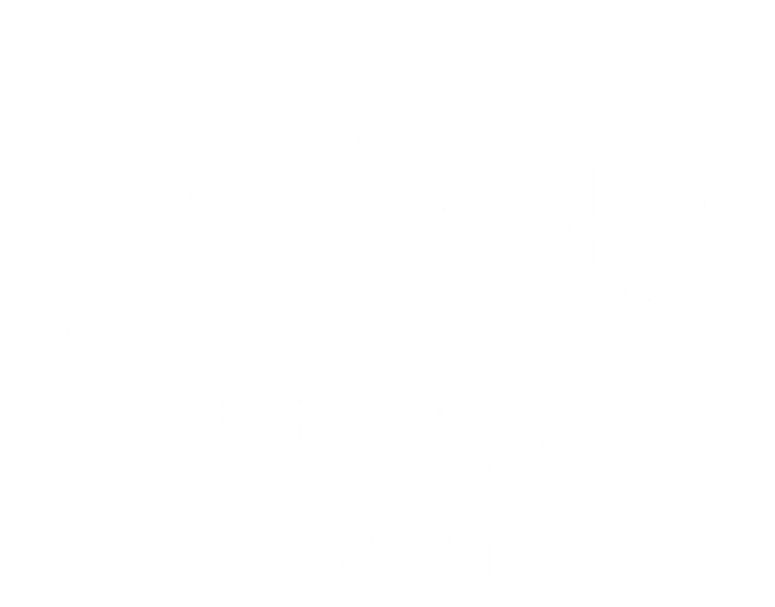 Elyria Ohio Oh Vintage Established Sports T-Shirt