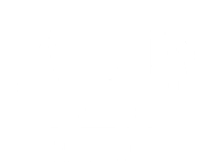 Fallon Nevada Nv Vintage Sports Established T-Shirt