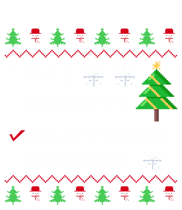 Christmas List Nice Naughty Insufficient Evidence Funny Cute Gift T-Shirt