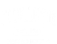 Holden Massachusetts Ma Vintage Sports Established V-Neck T-Shirt