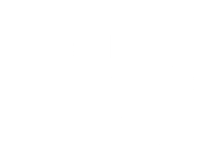 Holden Massachusetts Ma Vintage Sports Established V-Neck T-Shirt