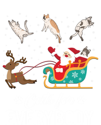 Cats For Everybody Christmas Cat Funny Xmas Santa Gift Toddler T-Shirt