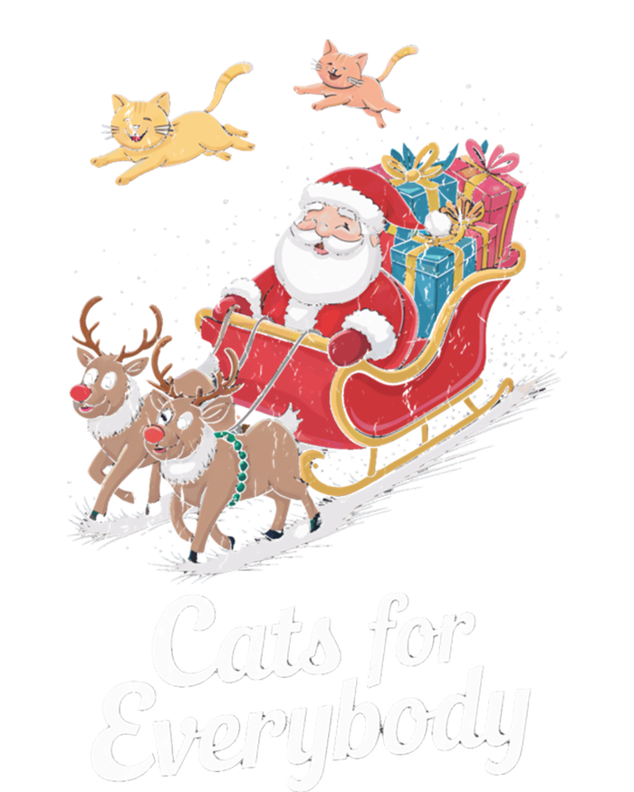 Cats For Everybody Xmas Cat Santa Festive Cat Christmas Cats Gift T-Shirt