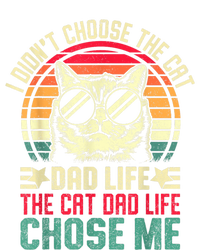 I DidnT Choose The Cat Dad Life The Cat Dad Life Chose Me Womens CVC Long Sleeve Shirt