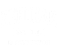 Needham Massachusetts Ma Vintage Sports Established V-Neck T-Shirt